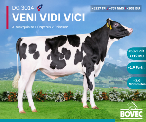 Bannière publicité